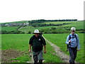 Ger / Near Ffarm Rhoslanog Fawr Farm