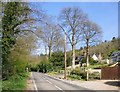 Green Dene, south of East Horsley