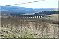 Shankend Viaduct