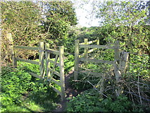 TA0837 : Gate and bend in the path near Wawne by Jonathan Thacker