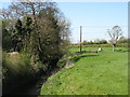 The River Cam at Queen Camel