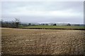 SO2199 : Farmland near Fflos by N Chadwick