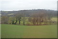 Trees lining the River Severn