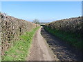 SO7991 : Nameless lane east of Beobridge by Richard Law