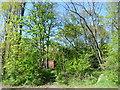 Clothworkers Wood from the former abattoir site on Woodlands Farm