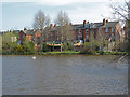 Meadowbank Lake, Dorking