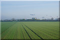 Farmland near West Row