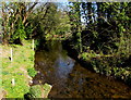 Afon Marlas, Llandybie