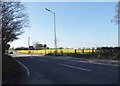 Rape field by Berkhamsted Road, Gadebridge