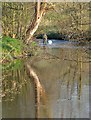 Fishing in The River Goyt at Hague Bar