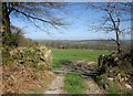 Countryside near Stoke Climsland