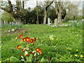 Hinderclay churchyard