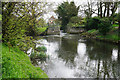 The River Lark below Turf Lock