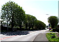 Tree-lined Heol Gwilym, Llandybie