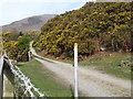 Access road to cottages at Bloody Bridge