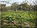 Field by Cambridge Squash Club