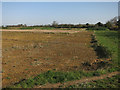 NIAB (National Institute of Agricultural Botany) site