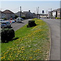 Yellow and green bank in Llandybie