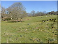 Earthworks behind the school