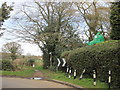 ?Green dragon? looking over the hedge, Flaunden