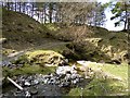 Farm track in the valley of the Wood Burn