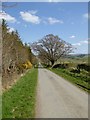 Country road near Chapelhill Farm