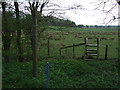 Footpath near Boghall