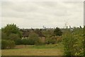 View of the Stratford Eye and Arcelo-Mittal Orbit from Claybury Park