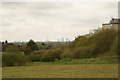 View of the Shard, Walkie Talkie, Gherkin, Heron Tower and Tower 42 from Claybury Park