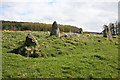 NO7191 : Eslie the Greater Recumbent Stone Circle (6) by Anne Burgess