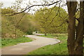 View of a double bend in the path from the lake to Roding Lane North in Claybury Park