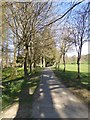 Riverside path, Wilton Lodge Park