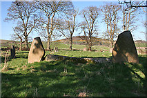 NJ7105 : Sunhoney Recumbent Stone Circle (2) by Anne Burgess