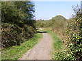 Nature Reserve Path