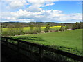 Pasture north-east of Wentworth Grange