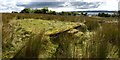 Remains of accommodation camp: hut base