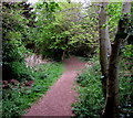 Path through a small wood, Wyesham