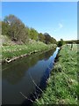 The River Dearne south of Cudworth