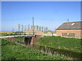 Bridge over Newham Drain