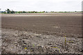 A field for potatoes near Gravel Gardens