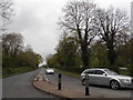 Woodhatch Road, White Bushes