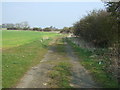 Farm track near Well Hill