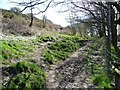 Permissive footpath, east of Doe Park Reservoir