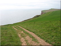 SY0883 : The South West Coast Path by David Purchase