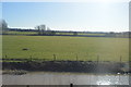 The River Soar and floodplain