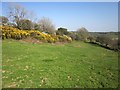 Field path to Treween