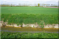 Drainage ditch and farmland near Isleham Lock