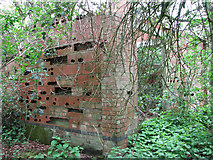 TF7336 : Ruined building in Whin Close by Evelyn Simak