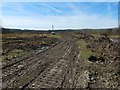 Cleared area at Lomondgate