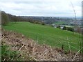 Nettleton Hill, looking east